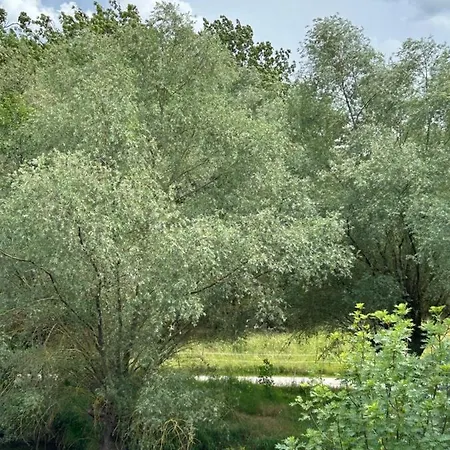 Apartment Unstrut Huette *